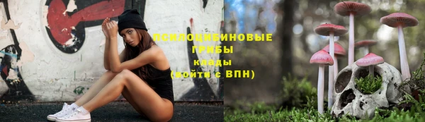 спиды Алзамай