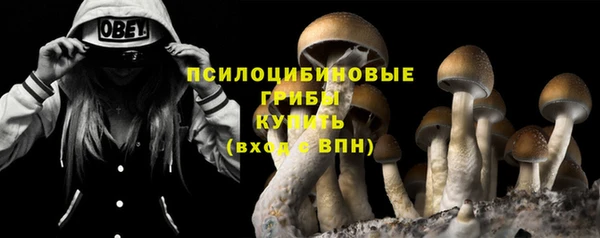 спиды Алзамай