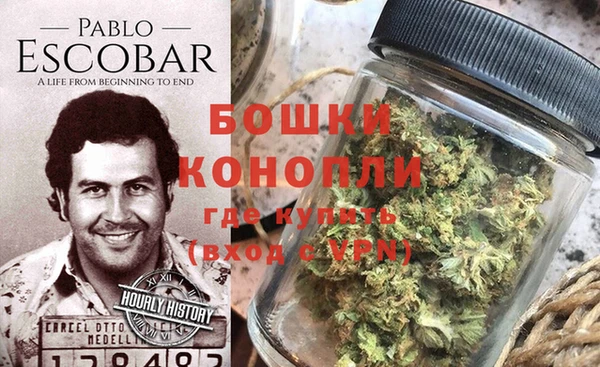 гидропоника Абаза