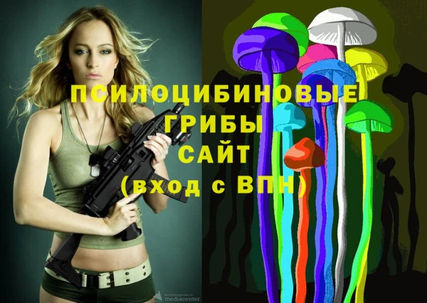 спиды Алзамай