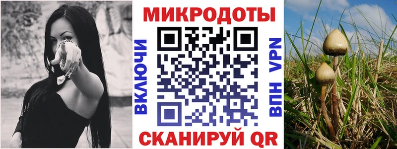 Псилоцибиновые грибы ЛСД Соликамск