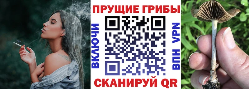 Галлюциногенные грибы мухоморы  купить наркоту  Соликамск 