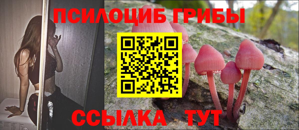 Псилоцибиновые грибы мухоморы  Галлюциногенные грибы мухоморы  Соликамск  Вход с VPN 