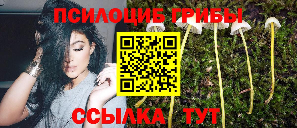 Галлюциногенные грибы Psilocybe Соликамск